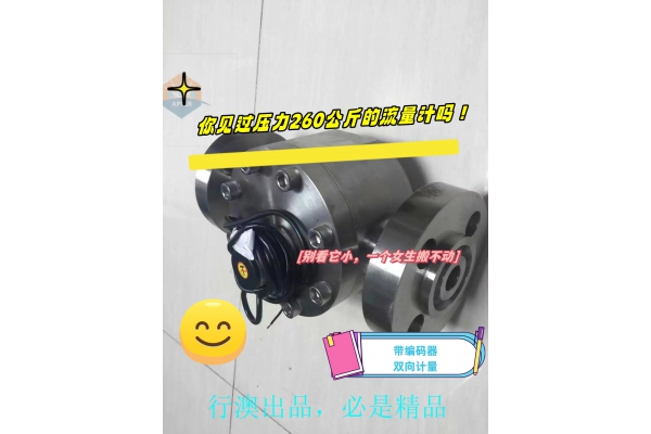 260公斤壓力的圓齒輪測(cè)油流量計(jì)